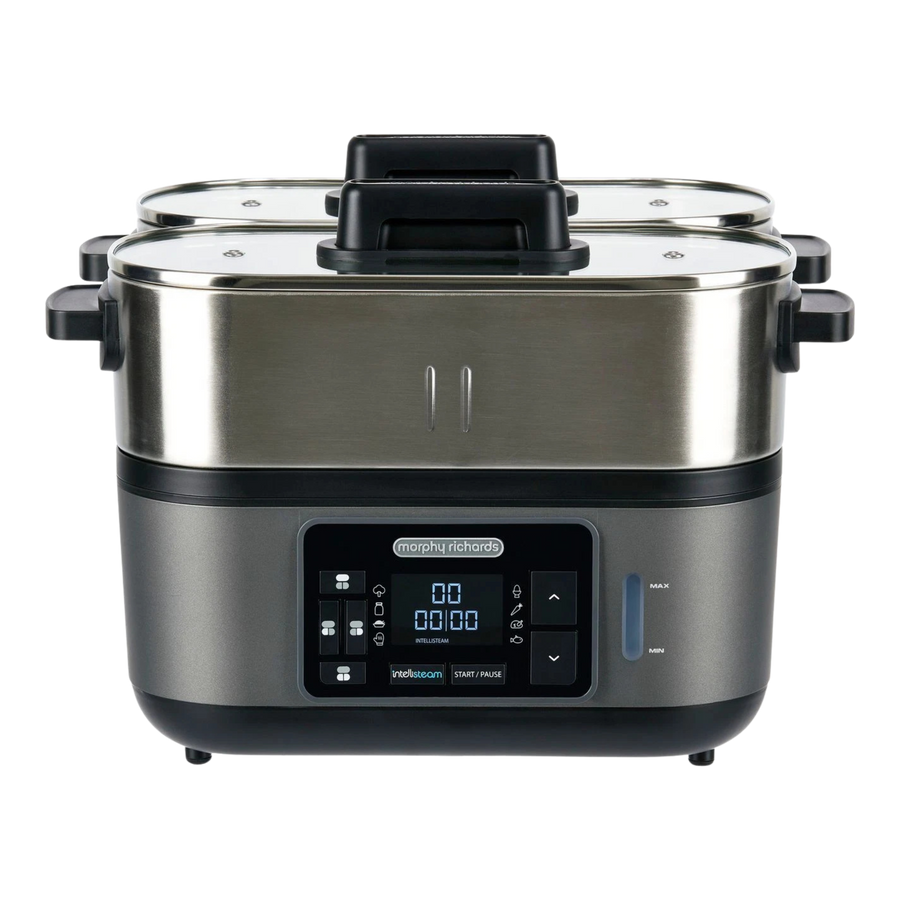 Steamer with digital display on a white background