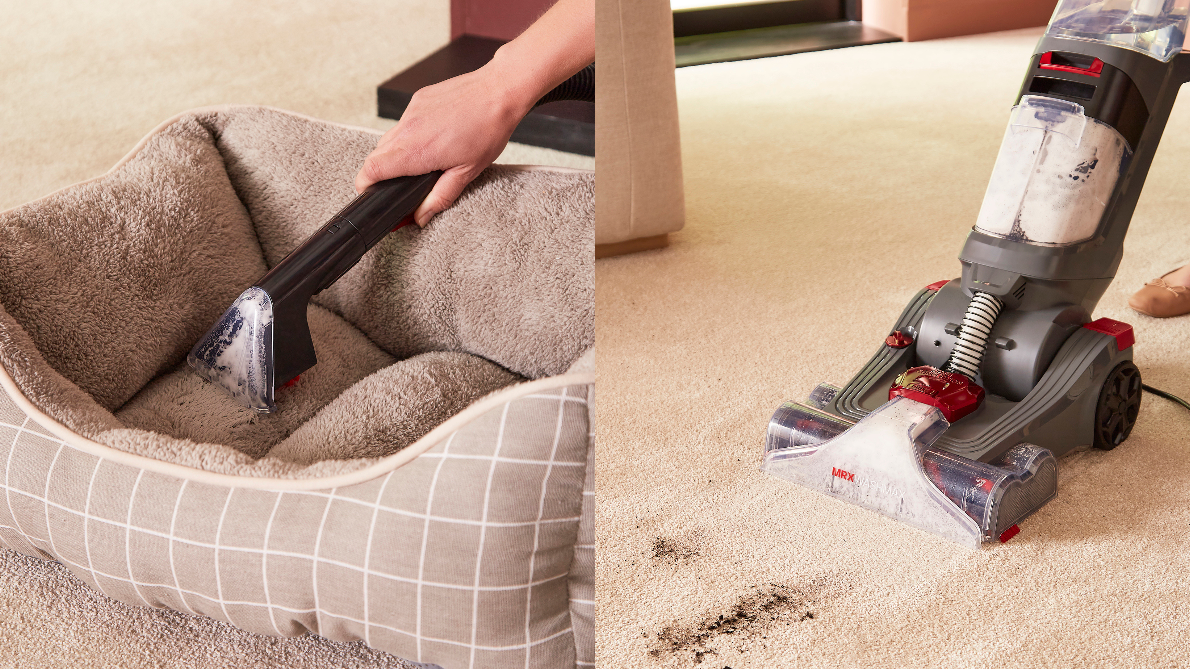 Carpet Washer being used on a carpet and a dog bed.